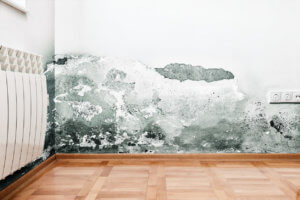 Kellerabdichtung Slider Feuchte Wand